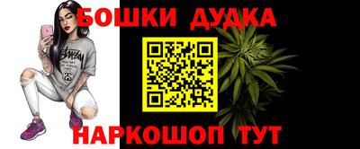 a pvp Кингисепп