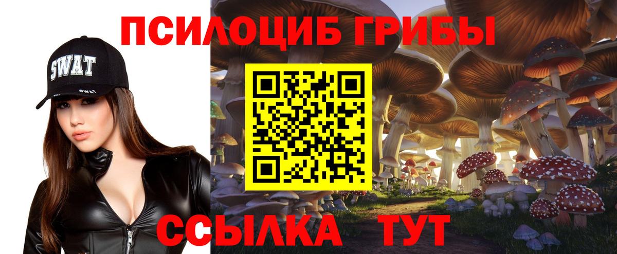 Псилоцибиновые грибы GOLDEN TEACHER Дедовск