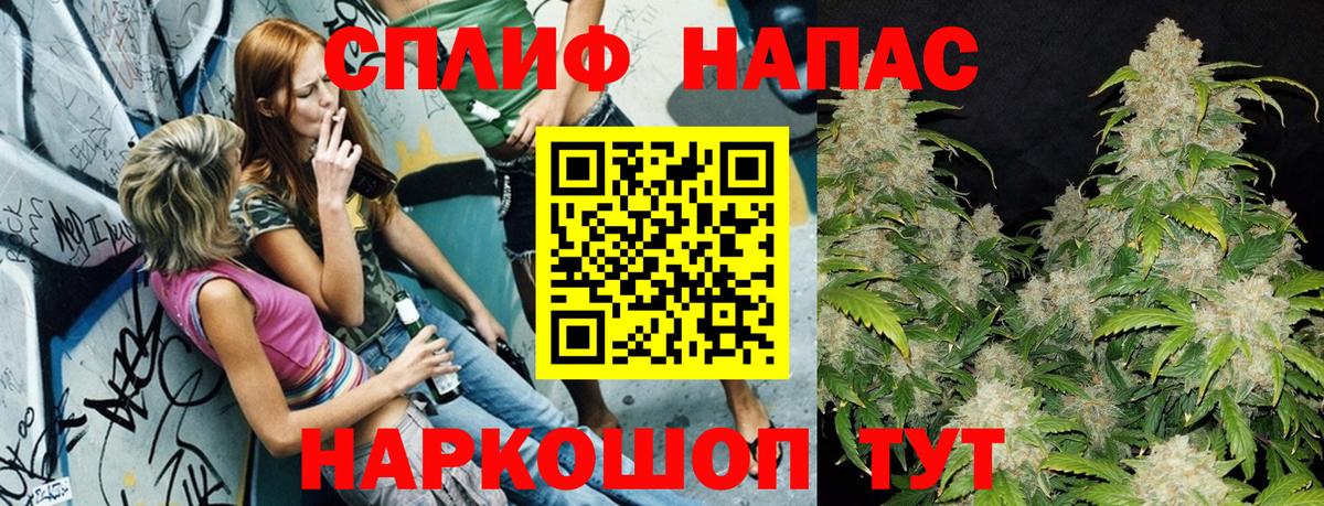 Канабис гибрид Дедовск